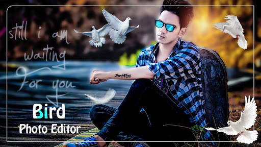 Bird Photo Editor 2019 3 تصوير الشاشة