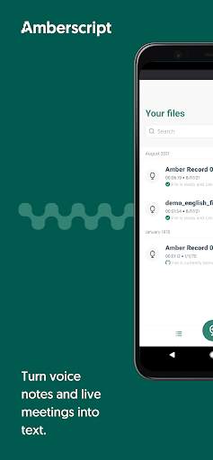 Transcribe voice to text – Rec screenshot 2