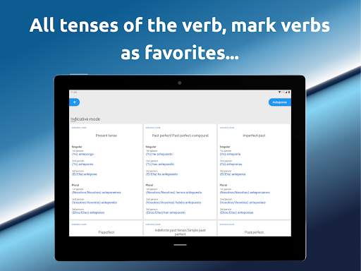Verbs and Conjugations Spanish screenshot 7