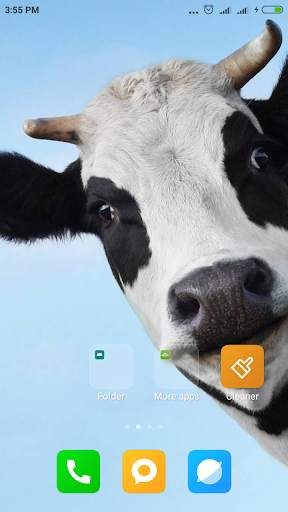Cow Wallpaper screenshot 8
