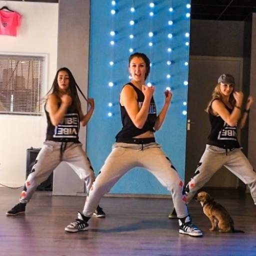 Zumba Latest Videos Offline 2.2.2