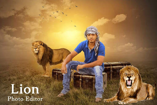 Lion Photo Editor screenshot 2