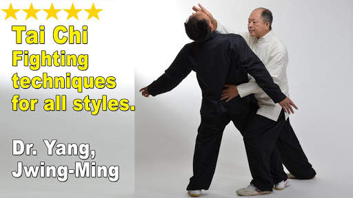 Tai Chi Martial Applications screenshot 5