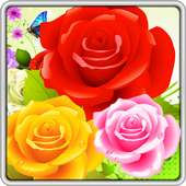 Bubble Rose