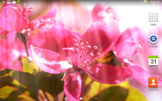 Spring Flowers Live Wallpaper screenshot 5