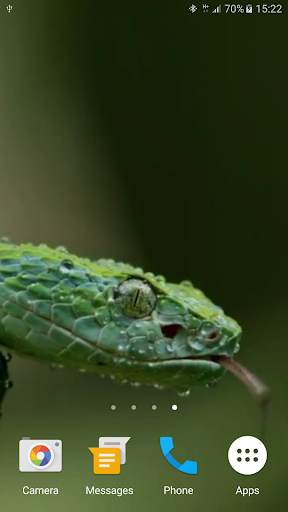 Snake Live Wallpaper screenshot 6