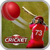 Play Cricket Matches 1.01