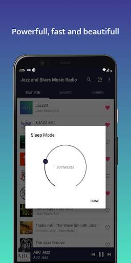 Jazz & Blues Music Radio 2021 screenshot 4
