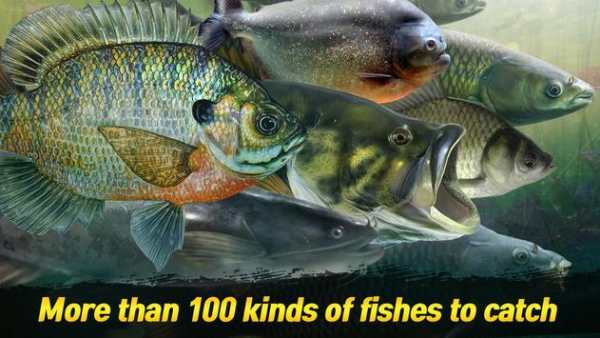BIG FISH KING screenshot 2