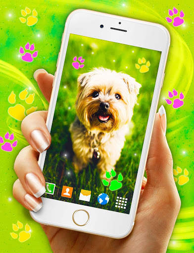 Cute Puppy Live Wallpaper 🐶 Dog Paws Wallpapers screenshot 1