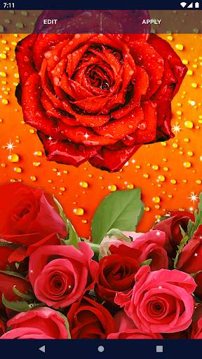 3D Red Rose Live Wallpaper 4 تصوير الشاشة