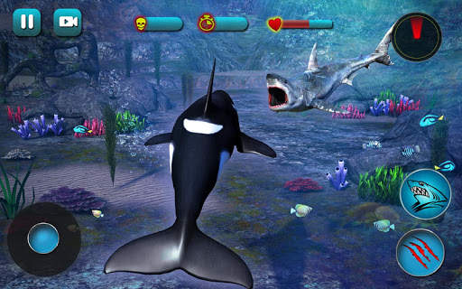Killer Whale Beach Attack 3D screenshot 15