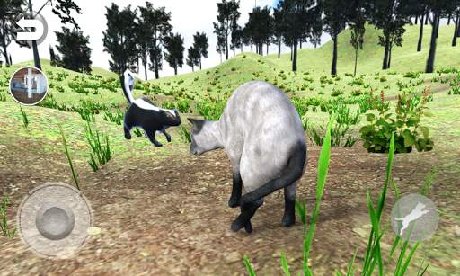 Talking Blue Siamese Cat screenshot 5
