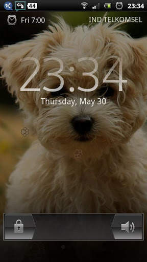 maltese puppy wallpaper - cute puppy wallpaper screenshot 4