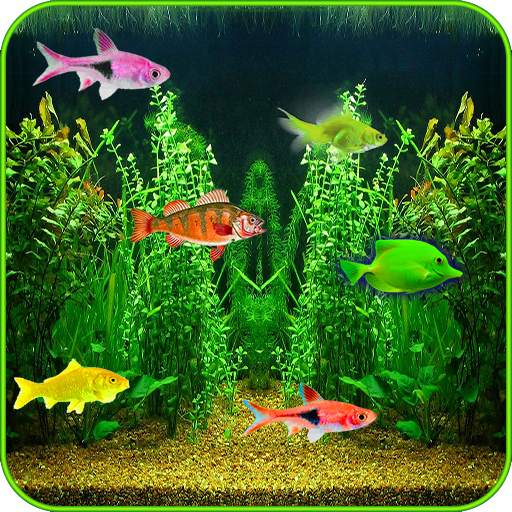 Aquarium Live Wallpaper! 1.0