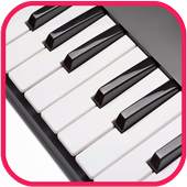 Mini Organ Piano 4.4