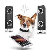 Dog Commander on 9Apps