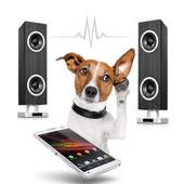 Dog Commander 1.2