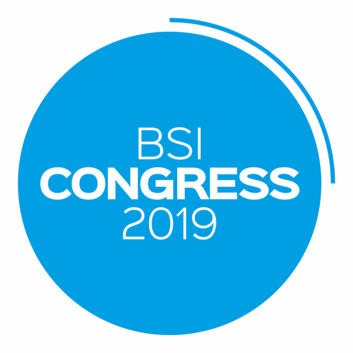 BSI 2019 icon