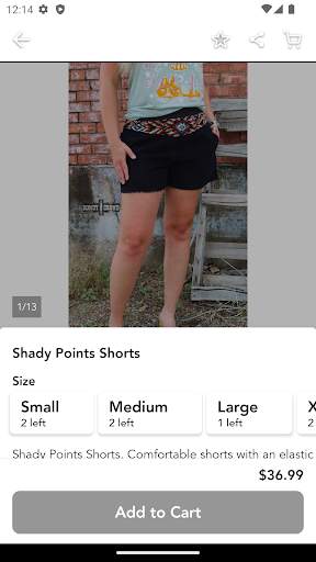 Salty Cowgirl Shop screenshot 2