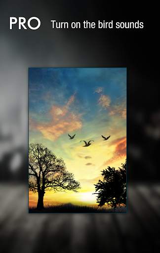 Sunset Hill Free LiveWallpaper screenshot 4