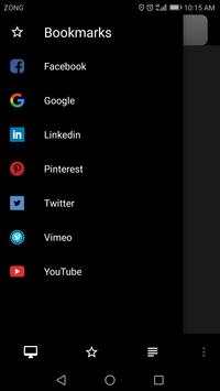 Flash Browser screenshot 8