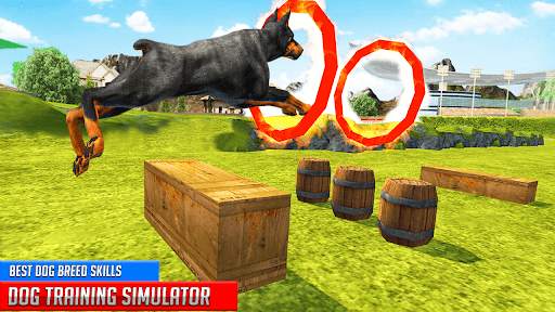 Dog Training: Dog Games screenshot 2