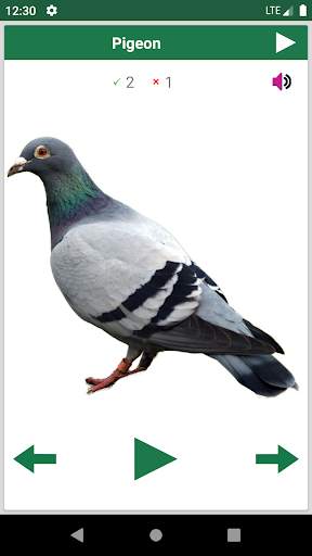 Learn Animals and Birds in English - Quiz screenshot 4