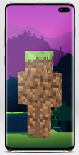 Block Skin for Minecraft screenshot 5
