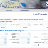 consultar auto con la placa icon
