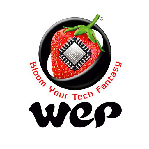WeP MPS 4.0.0.6