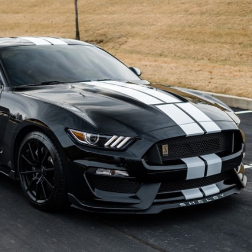 Driving Muscle Car Mustang GT icon