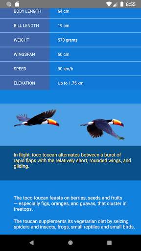 Wild Birds Atlas screenshot 4