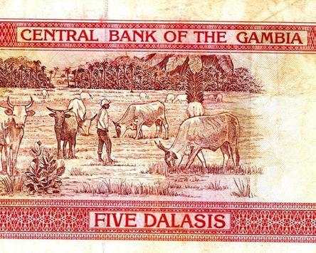 Dalasi Money Wallpapers screenshot 5