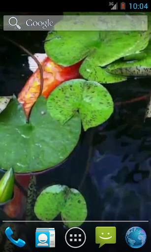 Real Pond With Koi Video Live Wallpaper screenshot 3