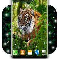 Brave Tiger Live Wallpaper 🐯 4D Jungle Wallpapers logo