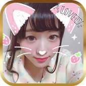 Snapcat Cat Face Camera