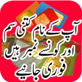 Pak SIM Information : SIM Verification icon