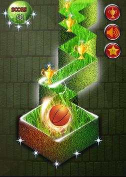 Zig Zag Basket Ball screenshot 3