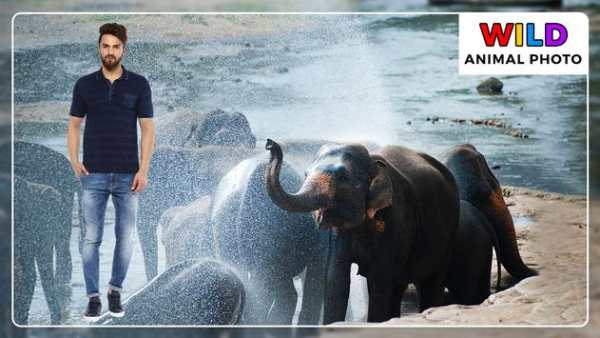 Wild Animal Photo Frames - Photo Editor screenshot 4