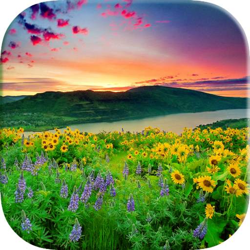 Scenery Wallpaper 1.04