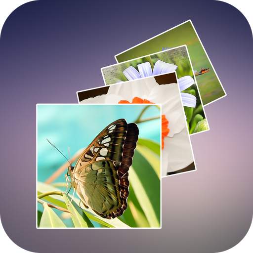 Photo Animated Wallpapers 1.0