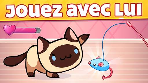 Jeu de chats - Cat Collector! screenshot 3