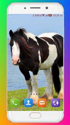 Horse Wallpaper HD screenshot 9
