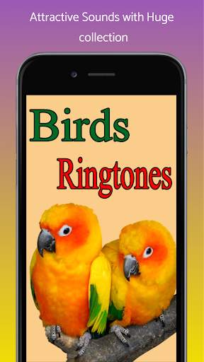 Birds Sounds and Ringtone screenshot 1