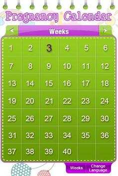 Pregnancy Calendar screenshot 2