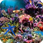 Aquarium Live Wallpaper 1.30