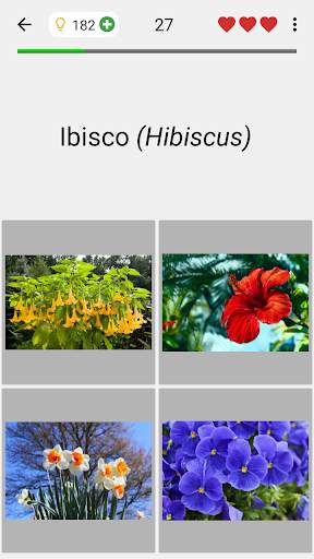 Fiori - Il quiz botanico sulle piante belle screenshot 4