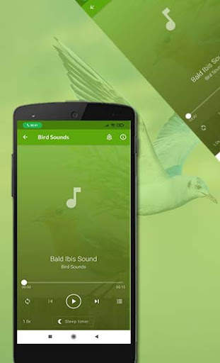 Bird Sounds स्क्रीनशॉट 3