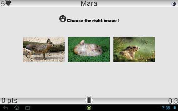 Animals screenshot 5